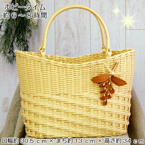 yP5{}\Ԍzn}iJ RT[Wtȉ~obO H360-246 GRNtg GRNtgLbg obO ΂ RT[W |Lbg ȉ~ oh Lbg 