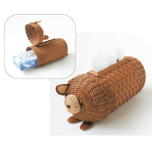 yP5{}\ԌzGRNtgLbg ޗZbg ܂̃eBbVP[X oh |Lbg nhCh n}iJGRNtg