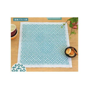 yP5{yVC[OXӍՁzhq Lbg ڎh̉Ԃӂ (NXȂ) SK-316 ԂӂLbg |Lbg Lbg nhCh IpX Olympus