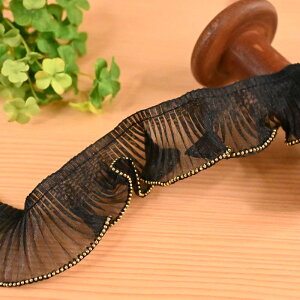 yP5{}\Ԍzr[Ytt[X (1mP) TA-151 (/G)   fR | nhCh 