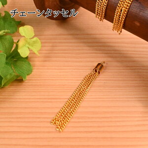 yP5{BLACK FRIDAYԌzi X `F[^bZ 2Zbg 5cm S[h  [ |[` obO nhCh