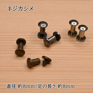  lW JV 8mm 2 AeB[NS[h Vo[ AeB[NVo[  AeBbNS[h p[c | nhCh Joint JTMP-200