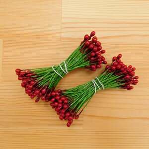 yP5{BLACK FRIDAYԌzybv Ԑc Ԏ #120-4/1 (2) 144{ t[ybv ԍ RT[W A[gt[ ܂ݍ׍H NX}X H|