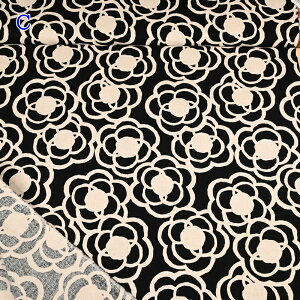 yP5{BLACK FRIDAYԌzȖLoX vg n (50cmP) UP5729 ̕z JImiCni JA Rbg΂₵ t[ ͂ n z nhCh 