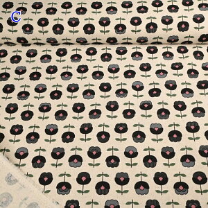 ȖLoX vg n (50cmP) AP42804-1 k̐X  t[ z nhCh 