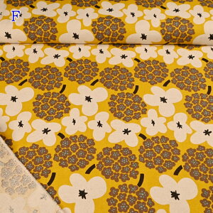 yP10{11/30zȖLoX vg n (50cmP) UP5734 u[P 肨 k k t[  ͂ ̕z Rbg΂₵ Rbg l z  \[CO 