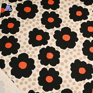 ȖLoX vg n (50cmP) UP5958 ̕z  ԕ Rbg l Rbg΂₵ n z nhCh 