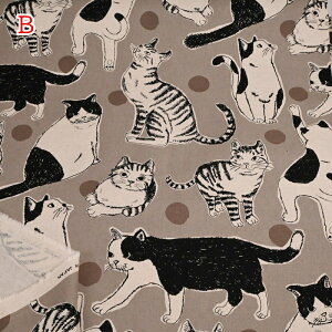 ȖLoX vg n (50cmP) KTS7110 BigL ˂ lR  z Rbg l LWg n` gL  obO |[` Rbg΂₵ nhCh