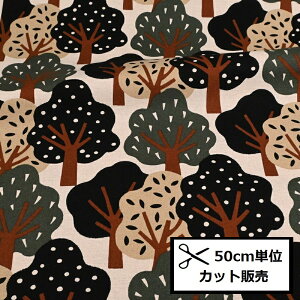 yP5{BLACK FRIDAYԌzȖLoX vg n (50cmP) ̕z Ȃ̎ UP5750-B Rbg΂₵ t[ ͂ n z nhCh 