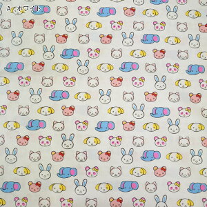 yP5{BLACK FRIDAYԌzV[`O vg n (50cmP) Aj} tFCX HSK499   ς ˂   ǂԂ rbg Gt@g xA ETM ]E p_ lR 