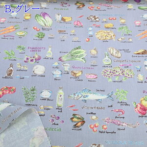 10 LoX vg n (50cmP) KTS6845 Vs ޗ Rbg΂₵ z  nhCh obO |[` CeAG