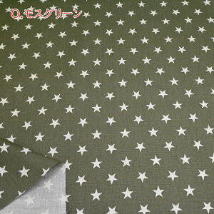 IbNX vg n (50cmP) HSK650-1  X^[ z n nhCh