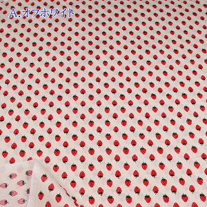 【P5倍★お買い物マラソン期間限定】シャーティング ホーミー プリント 生地 (50cm単位) HC1097S イチゴ いちご 苺柄 ホーミーコレクション 布 入園 入学 手づくり レッスンバッグ 体操服袋 巾着