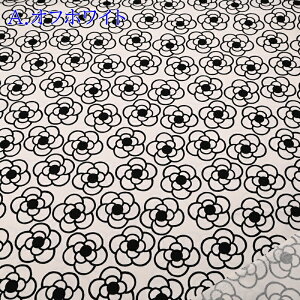 IbNX vg n (50cmP) A3388-5A ItzCg JA  ݃J[ z zCg obO |[` nhCh