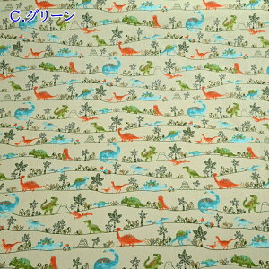 yP5{}\ԌzCBvg n (50cmP) SK7000-6C O[ _Ci\[  傤イ XsmTEX vemh XeSTEX z  w  nhC