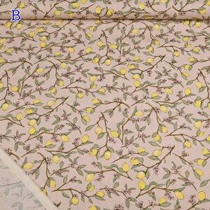 yP5{yVC[OXӍՁzu[h vg n (50cmP) KTS6951 }t z EG  Rbg΂₵  ͂ nhCh