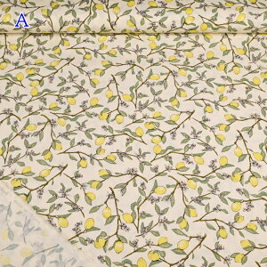 u[h vg n (50cmP) KTS6951 }t z EG  Rbg΂₵  ͂ nhCh