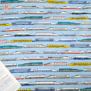 IbNX vg n (50cmP) A2400-6 V hN^[CG[ N700n ͂Ԃ ₫ ܂  z Â obO |[` nhCh