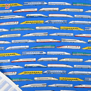 yP5{}\ԌzIbNX vg n (50cmP) A2400-6 V hN^[CG[ N700n ͂Ԃ ₫ ܂  z Â obO |[` nhCh