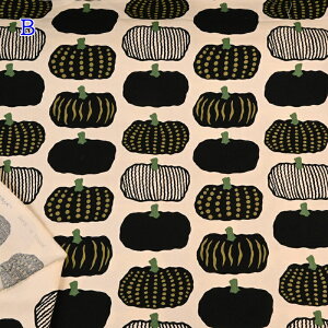 10 LoX vg n (50cmP) UP5910 ڂ J{` 싞  ̕z Rbg΂₵ n z nhCh 