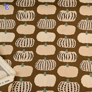 yP5{BLACK FRIDAYԌz10 LoX vg n (50cmP) UP5910 ڂ J{` 싞  ̕z Rbg΂₵ n z nhCh 