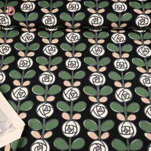 yP5{BLACK FRIDAYԌz10 LoX vg n (50cmP) UP5693 o ̕z  Rbg΂₵ t[  z  obO |[` CeAG \[CO n