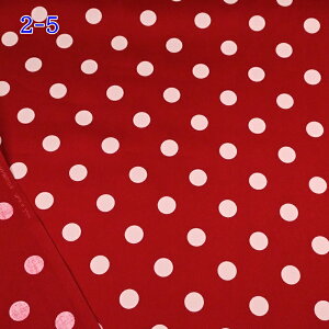 yP5{BLACK FRIDAYԌz20S cC vg n (50cmP) 88610 hbg `FbN  iq bh  lCr[  ubN  x[W O[ z obO |[` w nhCh 