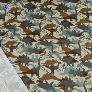 cC vg n (50cmP) HSK513  VGbg _Ci\[ LEE 傤イ z n ΃nhCh w obO ̑