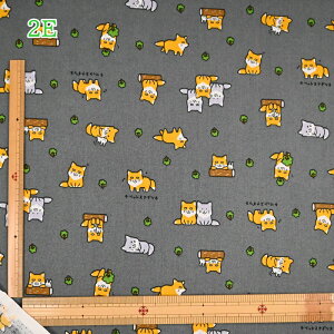 V[`O vg n (50cmP) gAj} K   s[` `xbgXiMcl Lcl  TJooXsX Ñ㋛ AP51105 邩Aj}  obO G 