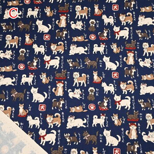 yP5{yVC[OXӍՁzIbNX vg n (50cmP) YPA-56030-1 {} Č Hc kC l IB b㌢ Vo Ό hbO Ck z Â obO |[` n