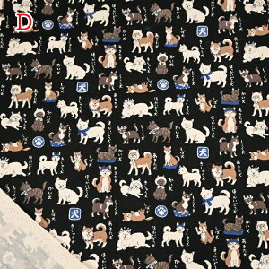 yP5{BLACK FRIDAYԌzIbNX vg n (50cmP) YPA-56030-1 {} Č Hc kC l IB b㌢ Vo Ό hbO Ck z Â obO |[` nh