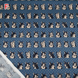 yP5{vGg[Iōő100|CgobNzV[`O vg n (50cmP) NN2316H-12 ˂ lR L hbg  IN THE POP WORLD nhCh  obO G