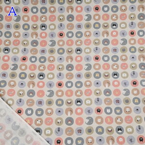 CBvg n (50cmP) COCO-2024-1 T[N lR ˂ L ɂ w Â nhCh