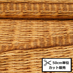 10 LoX vg n (50cmP) HA-3020-1A gbNoXPbg  z  nhCh obO |[` CeAG