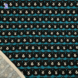 yP10{10/30zlCNX vg n (50cmP) B850520Z-1 MƃxA Ƃ xA  Kyoton BEAR z   CeA G  nhCh