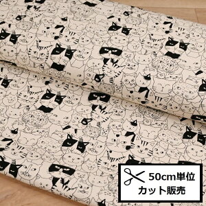 IbNX vg n (50cmP) B850536Z-1-4 jR~bNX lR ˂ L Aj} Li NRbg Â obO |[` nhCh