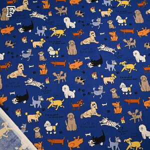 V[`O vg n (50cmP) NN2325H-11 KUSUTTO  Ck  hbO NX  obO G nhCh