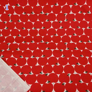 yP5{}\ԌzIbNX vg n (50cmP) B850551Z-1 S hbg Li NRbg  ь Abv Â obO |[` nhCh