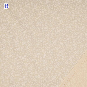 XPA bJ[ vg n (50cmP) AP4800S-2 ItzCg x[W O[ ԕ  t[ z  pb`[N \[CO nhCh