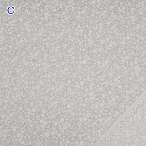 yP10{11/30zXPA bJ[ vg n (50cmP) AP4800S-2 ItzCg x[W O[ ԕ  t[ z  pb`[N \[CO nhCh