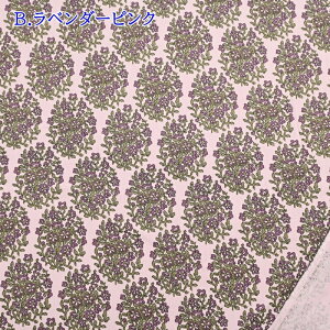 VcR[ vg (50cmP) HSK636 AeB[N t[ ȉ~ T[N H~ z n Rbg R[fC R[V