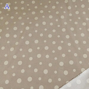 R[e vg n (50cmP) AP55801S-1 hbg  R[V z Rbg R[fC