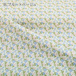 yP5{yVC[OXӍՁzu[h vg n (50cmP) KTS6805  ԕ t[  ͂ z 100  nhCh EFA[  Rbg΂₵