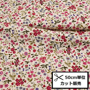 u[h vg n (50cmP) KTS2568-A Ȃ ԕ 100 Rbg  nhCh EFA[ 