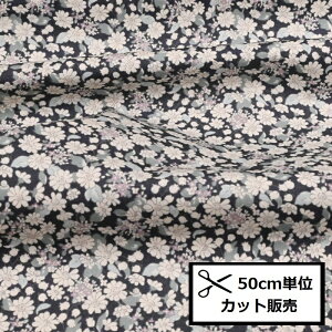 u[h vg n (50cmP) KTS6724-F lCr[  J^cgRoi t[ ԕ ͂ z 100 nhCh Rbg΂₵