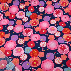 yP5{BLACK FRIDAYԌzbv vg n (50cmP) SO58500-1 t[ a ԕ z  r ĕ pW} Č Đn 100 Rbg nhCh