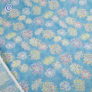 bv vg n (50cmP) 38145-1 ԉ  Č Đn z  r pW} 100 Rbg nhCh