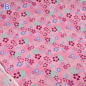 yP5{BLACK FRIDAYԌzbv vg n (50cmP) 38145-3 TN    Č Đn z  r pW} 100 Rbg nhCh