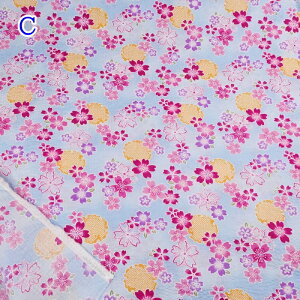 yP10{11/30zbv vg n (50cmP) 38145-3 TN    Č Đn z  r pW} 100 Rbg nhCh