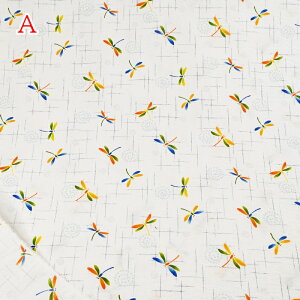 yP5{}\Ԍzbv vg n (50cmP) 38145-4 Ƃ g{  Č Đn z  r pW} 100 Rbg nhCh